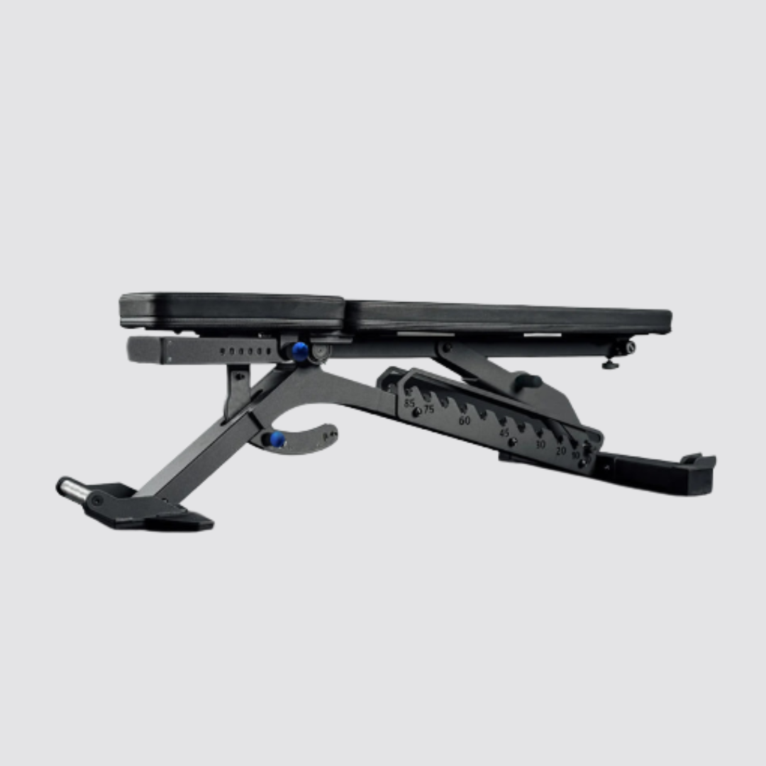 Elite Adjustable Bench
